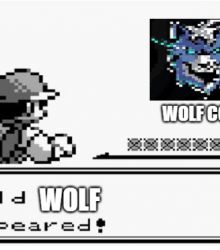 Wild Wolf appeared!! WOLFCOIN