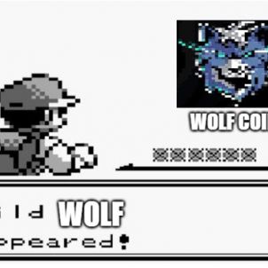 Wild Wolf appeared!! WOLFCOIN