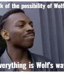 Think of t he possibility of Wolfcoin