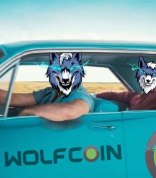 Hey bro, where are you traveling? Why don't you go with WOLFCOIN?