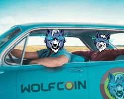 Hey bro, where are you traveling? Why don't you go with WOLFCOIN?