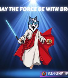 May the Force be with Bro, Wolfcoin Storytelling