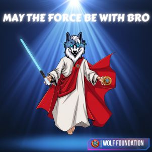May the Force be with Bro, Wolfcoin Storytelling