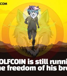 WOLFCOIN is still running for the freedom of his brothers!