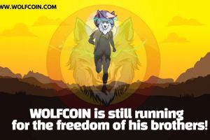 WOLFCOIN is still running for the freed...