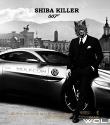 Shiba Killer WOLFCOIN