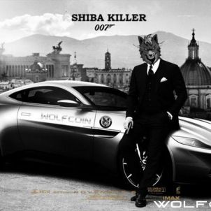 Shiba Killer WOLFCOIN
