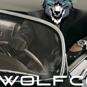 THE MAN FROM WOLFCOIN