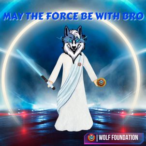 May the Force be with Bro, Wolfcoin Storytelling 2