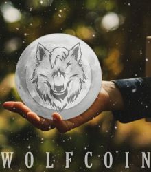 To accomplish great things, we must dream as well as act. Dream of WOLFCOIN's success