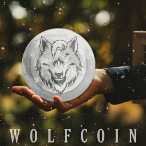 To accomplish great things, we must dream as well as act. Dream of WOLFCOIN's success