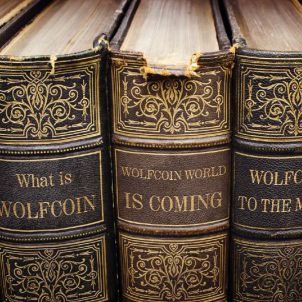 WOLFCOIN HISTORY BOOKS IN A LIBRARY