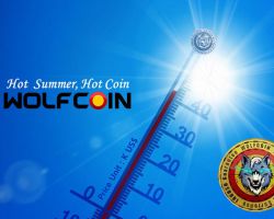 Hot  Summer, Hot Coin. WOLFCOIN