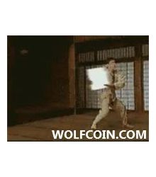 WOLFCOIN Funny gif