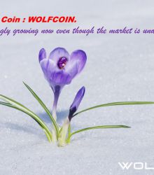 Strongest Coin : WOLFCOIN.