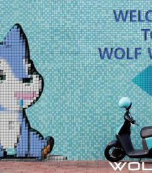 WELCOME TO WOLF WORLD (WOLFCOIN)