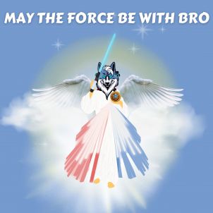May the Force be with Bro, Wolfcoin Storytelling 4