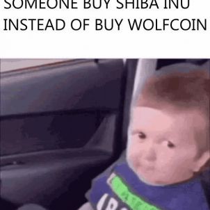 Someone buy shiba inu? Not The WOLFCOIN?