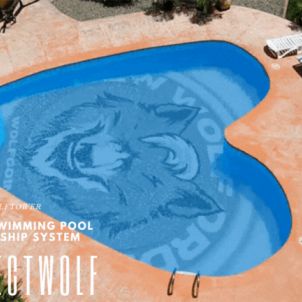 PRIVATE SWIMMING POOL IN A WOLF-TOWER.  WOLFCOIN.