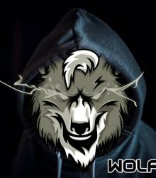 Wolfcoin hidden in the dark