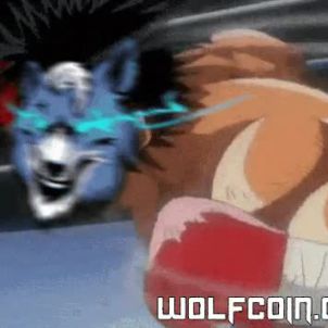 The Fighting WOLFCOIN!