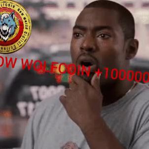 WOW +100000% - WOLFCOIN