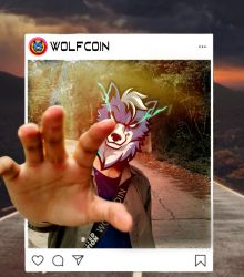 Wolfhand under sunny skies (WOLFCOIN MEME)