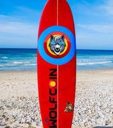 WOLFCOIN SURFING BOARD