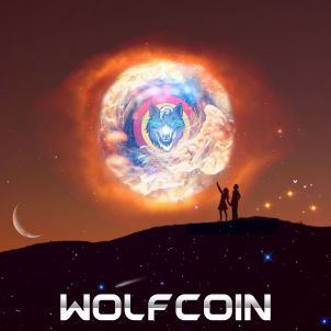 Success is not the key to happiness. Happiness is the key to success. If you act with true love for WOLFCOIN, you will be successful.