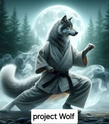 project Wolf 울프 달인 2탄 ^^