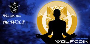 Focus on  the WOLF : WOLFCOIN