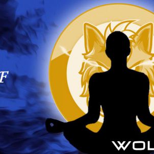Focus on  the WOLF : WOLFCOIN