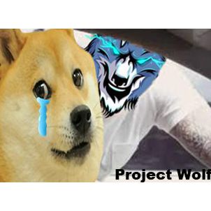 WOLFCOIN. WOLF PROJECT. (영화 "이웃사람"장면 패러디)