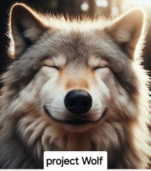 project Wolf 울프 브로들은 행복해진다~!