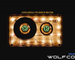 LISTEN CAREFULLY THE VISION OF WOLFCOIN.
