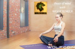 Peace of mind with WOLF KOREA : WOLFCOIN