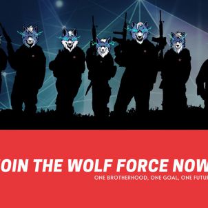join the wolf force now, wolfcoin