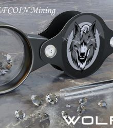 Results of WOLFCOIN Mining