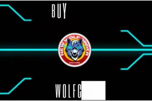 BUY & HOLD WOLFCOIN