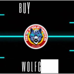 BUY & HOLD WOLFCOIN