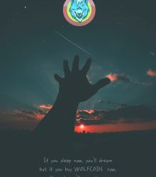 If you sleep now, you'll dream but if you buy WOLFCOIN now, Your dream'll come true.