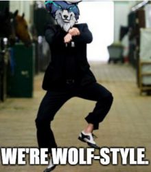 WE'RE WOLF-STYLE 'WOLFCOIN'