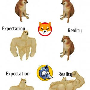 Expectation and Reality, WOLFCOIN