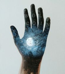 The WOLFCOIN I want to keep in the palm of my hand.