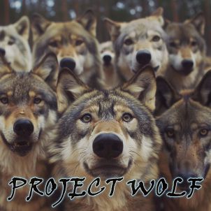 PROJECT WOLF!! Come together, bro~