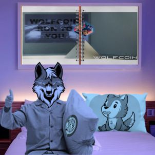 GOOD NIGHT EVERYDAY WITH WOLFCOIN