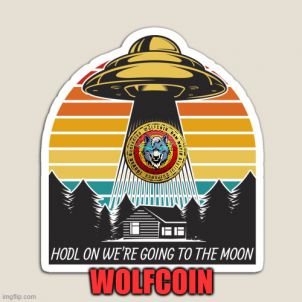 HODL ON WE'RE GOING TO THE MOON - WOLFCOIN