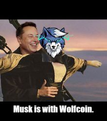 Musk is with Wolfcoin.