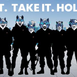 do it, take it, hold it, wolfcoin