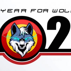 THIS YEAR FOR WOLFCOIN